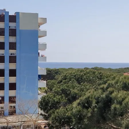 A Spacious With A Sea View *