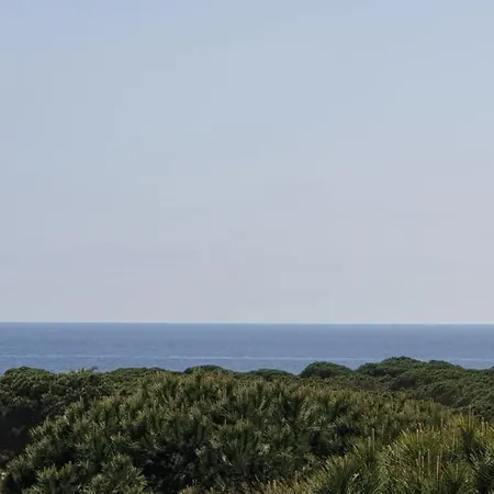 Lejlighed A Spacious With A Sea View Blanes