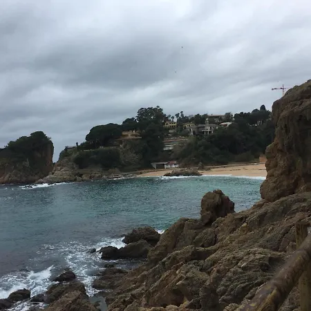 A Spacious With A Sea View