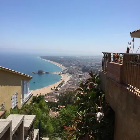 A Spacious With A Sea View شقة